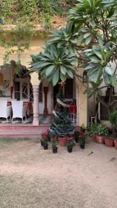 Zahrada ubytování Hotel Bissau Palace