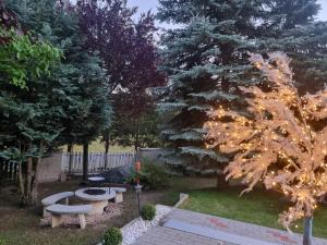 Zahrada ubytování Balaton Holiday