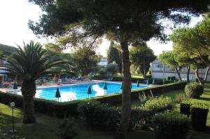 a swimming pool with palm trees in a park at Appartamento in residence con piscina in Marina di Bibbona