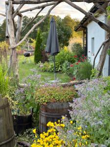 Gallery image of Domki nad rzeką Ełk in Prostki