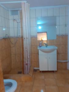 a bathroom with a sink and a shower and a toilet at CASA IZA in Băile Herculane