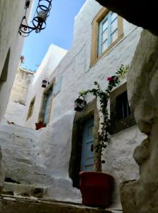 a white building with a blue door and a potted plant at Patmos Chora with a View in Patmos +4 photos