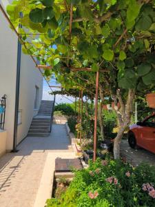 Zahrada ubytování Rooms Mariana