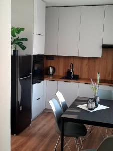 Kuchyň nebo kuchyňský kout v ubytování Apartmá Vrbice