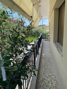 a balcony of a building with a fence and a tree at Second Home Ierissos in Ierissos