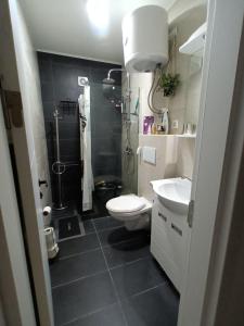 Ένα μπάνιο στο Apartman SILVER Srebrno jezero