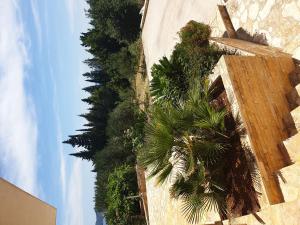 Vonkajšia záhrada v ubytovaní Villa Avoca