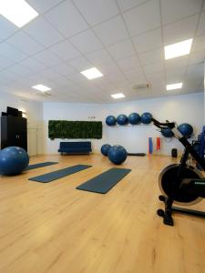 Fitness centrum a/nebo fitness zařízení v ubytování Hotel Arezzo ASC