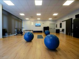 Fitness centrum a/nebo fitness zařízení v ubytování Hotel Arezzo ASC