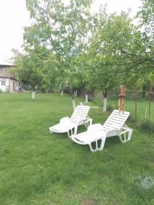 two white chairs sitting in the grass in a yard at Pensiune Colina Farm in Găgeni