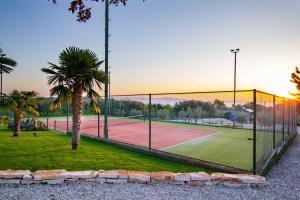 a tennis court with a net and a palm tree at Mirana Luxury Villas in Kavran