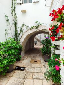 Foto dalla galleria di Cisternino Girolamo Location a Cisternino