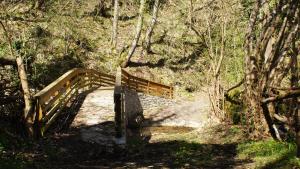 Naturlandschaft in der Nähe der Ferienwohnung