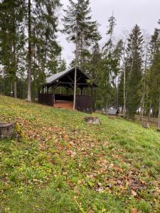 a gazebo on a hill in a field at Silmači in Launkalne +25 photos