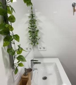 a bathroom sink with two potted plants above it at Villa Rios in Xàtiva +22 photos