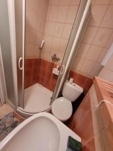 a small bathroom with a toilet and a shower at Rózsakő Apartman in Balatonalmádi +7 photos