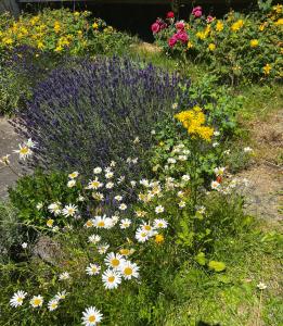 En have udenfor Eifeleule