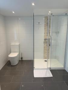 DierdorfにあるNeue Ferienwohnung Dierdorfのトイレとガラスのシャワー付きのバスルーム +2枚の写真