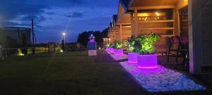 a row of potted plants on a patio at night at Domki DIAMENT, Comfortable Cottages near the Sea & Lake in Dziwnówek in Dziwnówek