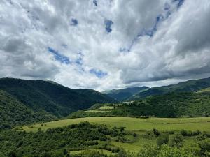 a green field with trees and a cloudy sky at Dilijan is for U in Dilijan