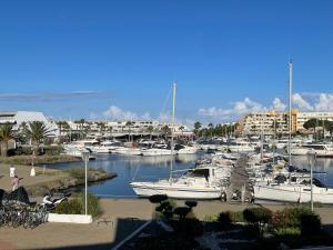 a bunch of boats docked in a marina at Naturiste Port Soleil avec piscine in Cap d'Agde