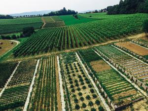 Paesaggio naturale nelle vicinanze dell'ostello