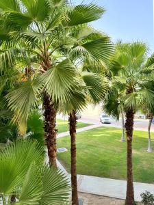 Zahrada ubytování Salalah Hawana Marina Apartment