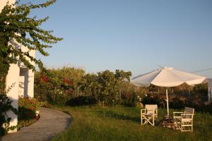 Afbeelding uit fotogalerij van Tiepolo Skyros in Skiros