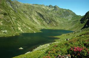 Naturlandschaft in der Nähe der Ferienwohnung