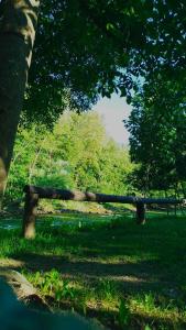 Ein Garten an der Unterkunft Apartaments Sort Pirineus