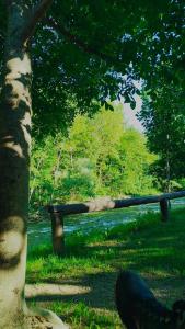 Naturlandschaft in der Nähe der Ferienwohnung