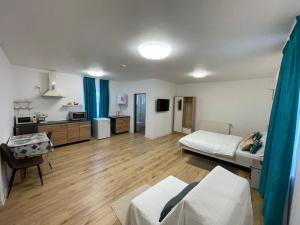 a large living room with a bed and a kitchen at Ami's Home in Săpânța