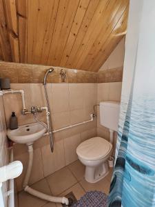 a bathroom with a toilet and a sink at Homestay Djerkovic in Žabljak