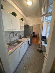 Η κουζίνα ή μικρή κουζίνα στο 2 Zimmer Appartement am Bismarckplatz Heidelberg