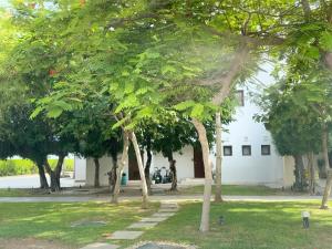 Zahrada ubytování Salalah Hawana Marina Apartment