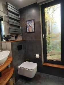 Kúpeľňa v ubytovaní Apartament Madlen Kalinowa Szczyrk Sauna Grota Solna