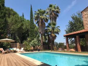 蒂伊Le mas petit的院子里有棕榈树的游泳池