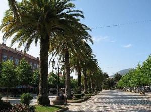 a row of palm trees on a street at A casa de Flora in Noya