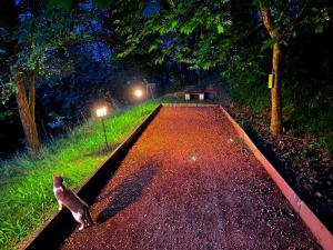 Fotografie z fotogalerie ubytování Ranč Platan v destinaci Vrdnik