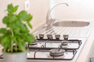 a kitchen stove with a potted plant and a sink at Casa Vacanze Vento del Sud in Porto Cesareo +95 photos