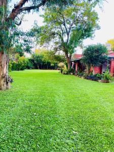 a green yard with a house and a tree at Maravillosa Casa Quinta in Del Viso +38 photos