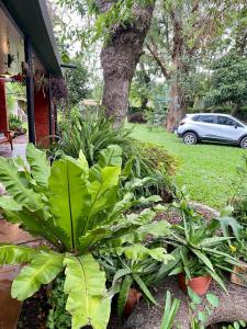 a garden with green plants in front of a house at Maravillosa Casa Quinta in Del Viso
