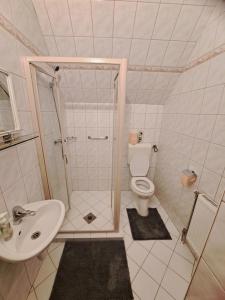 A bathroom at Ágnes Pihenőház Még 30 kép