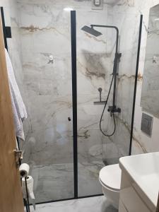 a bathroom with a shower and a toilet at Apartment Dia in Makarska