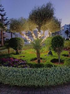 Ảnh trong thư viện ảnh của Appartement résidence -Sidi Rahal ở Sidi Rahal