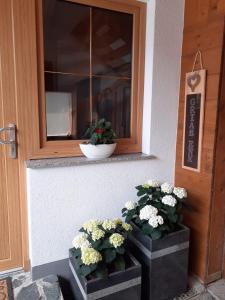 Fotografie z fotogalerie ubytování Appartement Claudia v Längenfeldu