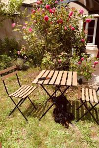 een hond die naast een picknicktafel en een bankje ligt bij Ibis Rouge in Villars-les-Dombes
