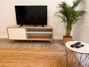 a tv on a wooden stand in a living room with two plants at Valma GuestHouse in Viana do Castelo +16 photos