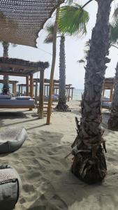 Naturlandskabet i nærheden af lejligheden