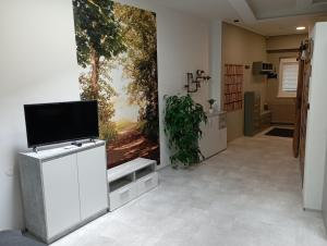 Una televisión o centro de entretenimiento en Soukromý apartmán Deluxe